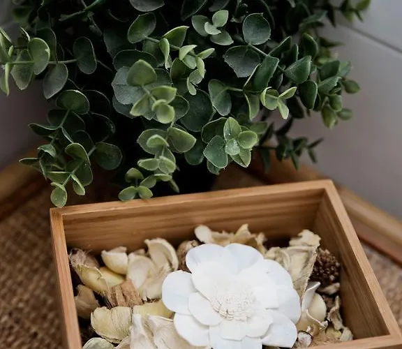 Il Maritozzo Nocleg ze śniadaniem Rzym