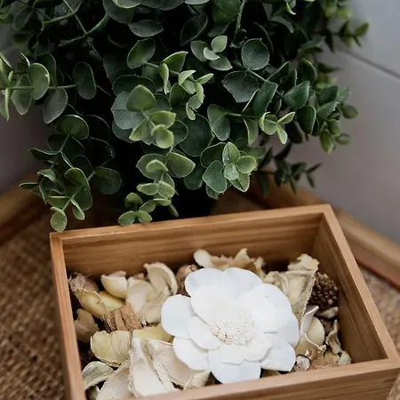 Il Maritozzo Panzió Róma